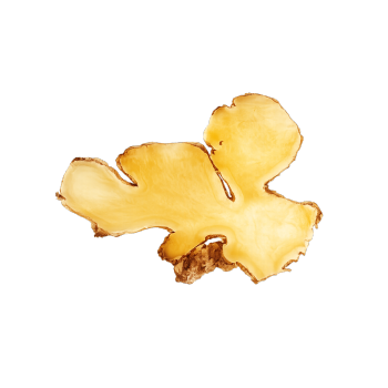 Ginger